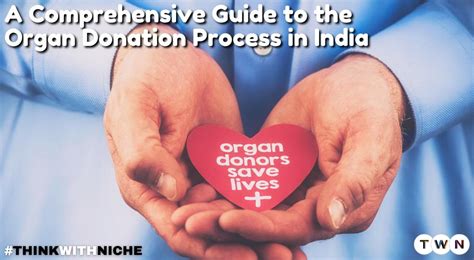 A Comprehensive Guide To The Organ Donation Process In India