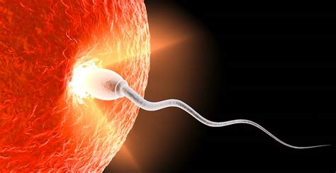 Le Taux De Fertilit Mondial A T Divis Par Deux Depuis