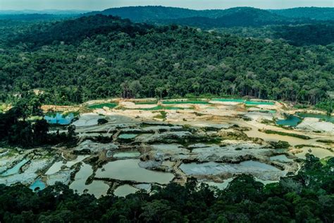 Studi Jejak Deforestasi Dari Industri Tambang Indonesia Salah Satu