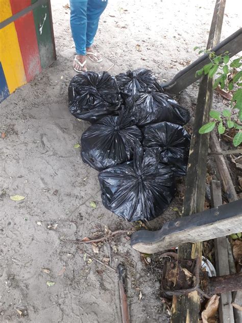 Manchas de óleo aparecem nas praias de Japaratinga 7Segundos Maragogi