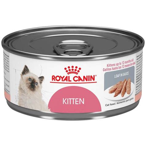 royal canin siamese cat food for sale - He Has A Great Site Pictures