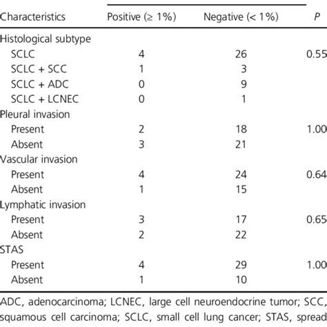 A Representative Case Of P40 Positive Small Cell Lung Cancer A C