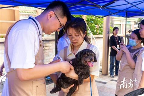 共筑健康屏障，广州人畜共患病防治宣传月活动收官