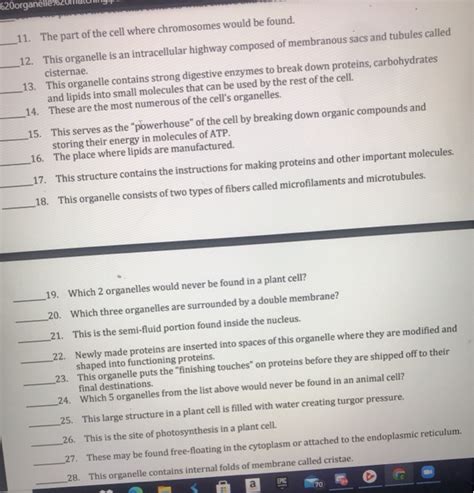 Solved Directions Below Is A List Of The Organelles Found Chegg