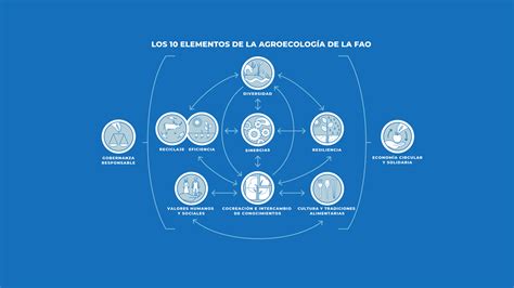 Cuáles son los 10 elementos de la agroecología 10 elementos clave de