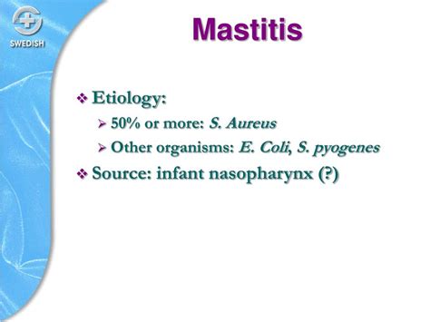 Ppt Mastitis Powerpoint Presentation Free Download Id6870273