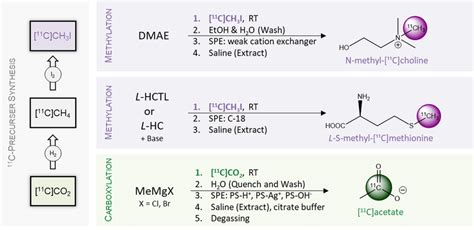 Radiochemistry Overview Left Gas Chemistry For The Preparation Of