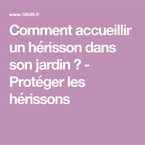 Comment Accueillir Un H Risson Dans Son Jardin Prot Ger Les