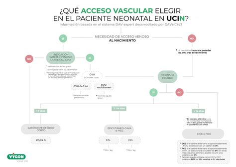 Qu Cat Ter Elegir Como Acceso Venoso En Neonatos