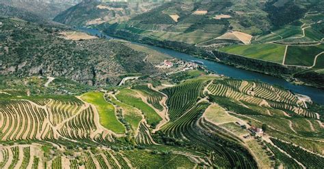 My Postcard And Stamp Week Portugal Alto Douro Wine Region