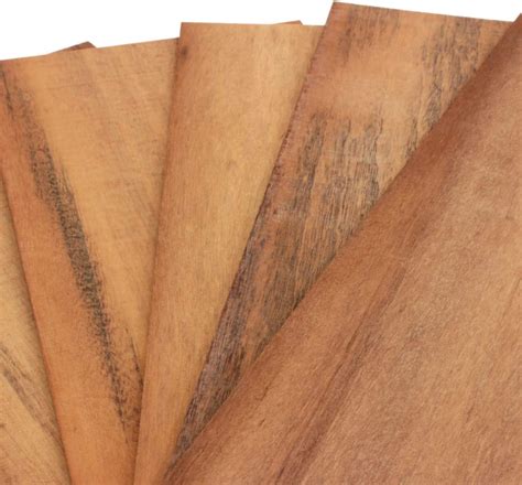 Wodewa Placage De Bois 4mm Lot De 5 Plaques 30x14cm Zebrano Feuille De