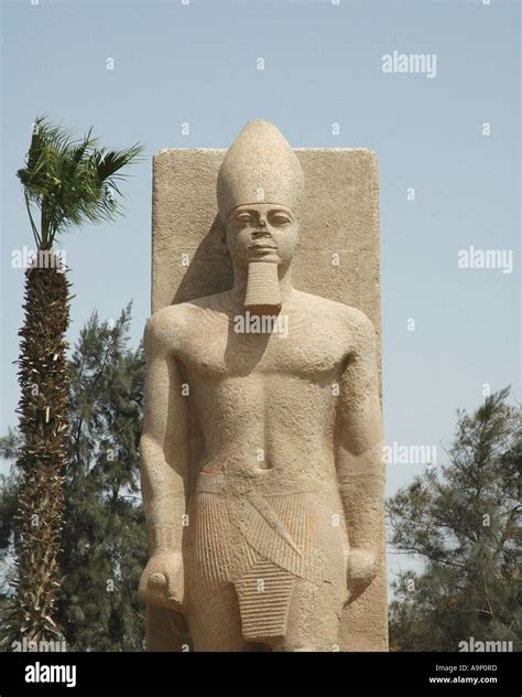 Estatua De Rams S Ii En Memphis Egipto Fotograf A De Stock Alamy