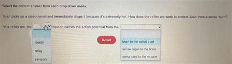 Solved Select The Correct Answer From Each Drop Down Menu Juan Picks