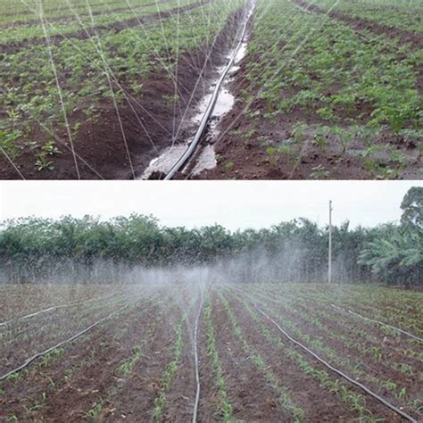 Tuyau D Irrigation Goutte Goutte Pour Agriculture Test Et Avis