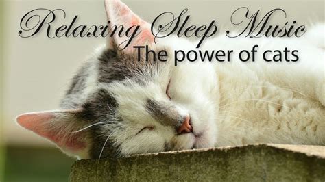 Sleep like a cat - Sleep Music https://youtu.be/ZfB1BXyu8Ss?utm_content ...