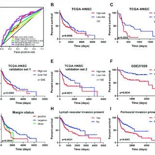 Kaplan Meier Survival Analysis For Patients With Hnscc Stratified By