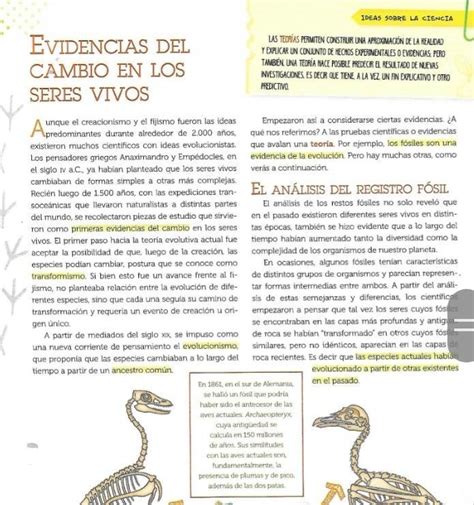 ¿cuáles Son Las Evidencias De Cambio En Los Seres Vivos Explicar Cada