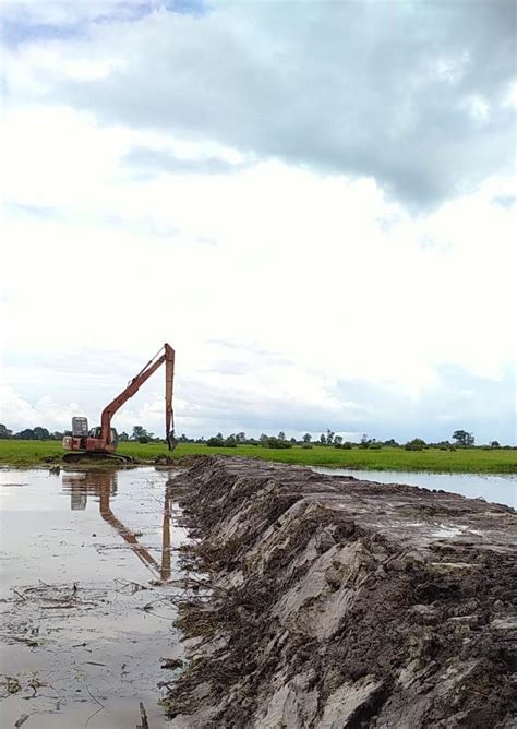 Genjot Produktivitas Pertanian Kementan Optimasi Lahan Rawa Di Musi