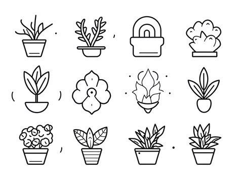 Plant Parts Coloring Page - Coloring Page