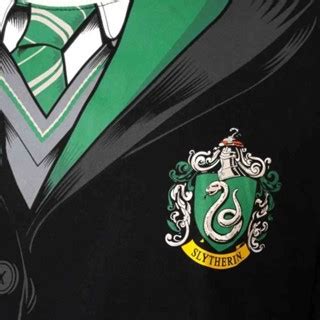 Camiseta Piticas Harry Potter Hogwarts Sonserina Uniforme Shopee Brasil