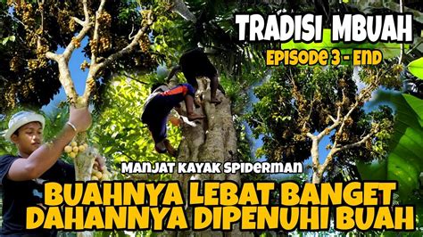 Ep 3 End TRADISI MBUAH PANEN LANGSAT YG BUAHNYA TAK TERMAKAN