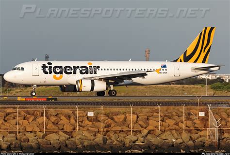 Vh Vnh Tigerair Australia Airbus A Photo By Wolfgang Kaiser Id