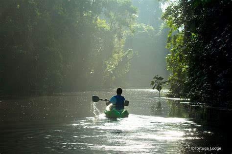 Dschungelreise Costa Rica Travelcowboy