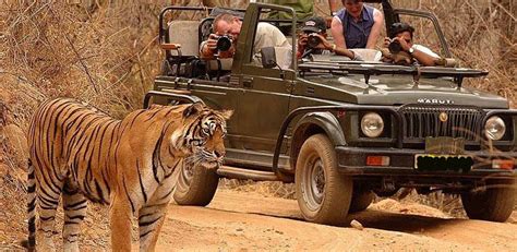 Tadoba National Park Tadoba Tiger Reserve Safari Booking