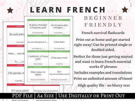 French Flashcards For Beginners French Printable Flashcards French