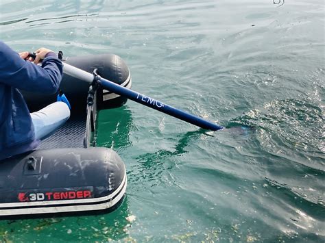 Temo le moteur électrique pour bateau CN Diffusion