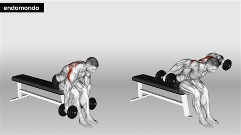 At Home Shoulder Workouts To Build Muscle Strength