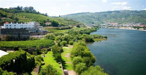 Douro Tal Ganztägige private Weintour mit Mittagessen GetYourGuide