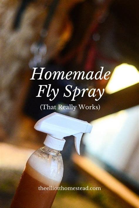 Homemade Fly Spray That Really Works Homemade Fly Spray Fly Spray