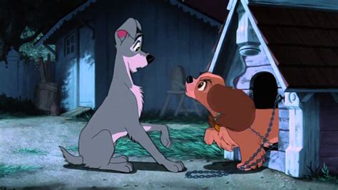 Lady And The Tramp Argument HD YouTube