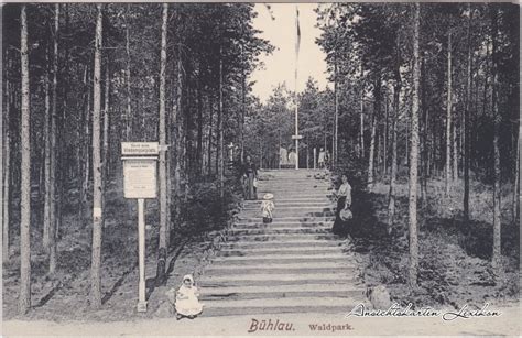 Eingang zum Waldpark Weißer Hirsch Dresden Ansichtskarten Lexikon