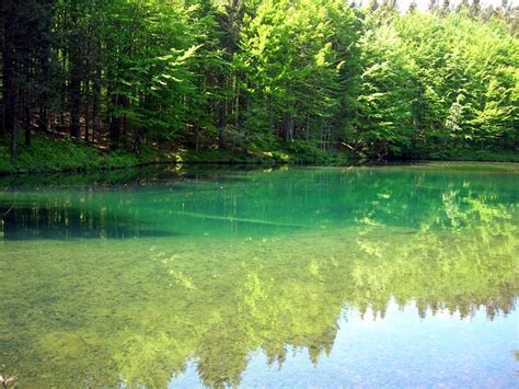 Parco Naturale Regionale Dell Aveto Galleria Fotografica Lago Degli Abeti