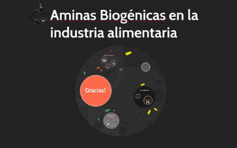 Aminas Biog Nicas En La Industria Alimentaria By Ericka Rodriguez