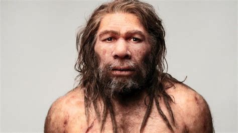 Neandertal características origen evolución y extinción รปปน