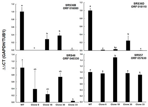 Ijms Free Full Text Comparative Proteomic Analysis Of Toxoplasma