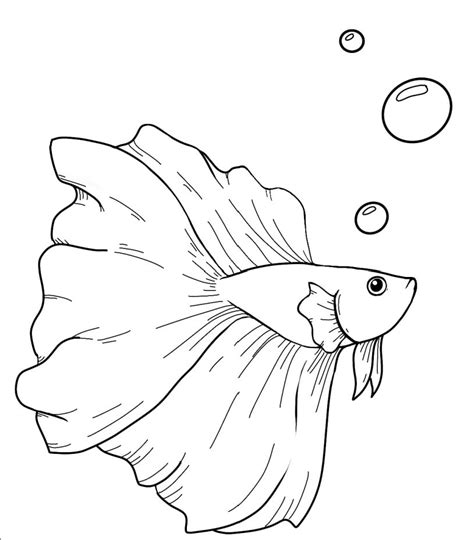 Beautiful Betta Fish Coloring Pages Coloring Pages