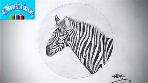 How To Draw A Zebra Draw A Zebra Step By Step Zebra Drawing Video