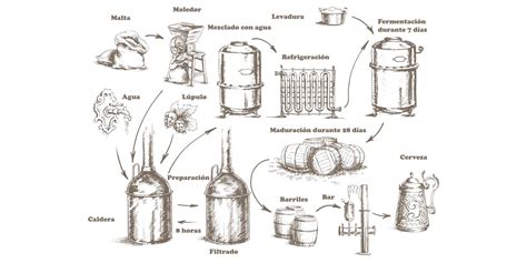 Proceso De Fermentaci N De La Cerveza La Bodega De Consum La Bodega