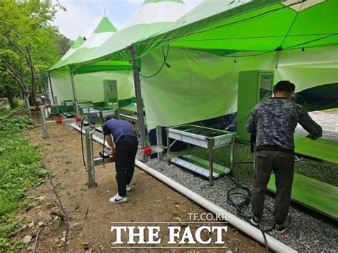 보성군 보성다향대축제 축제장 합동 안전 점검 실시 전국 기사 더팩트