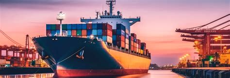 comparaison des types de conteneurs maritimes avantages  differences