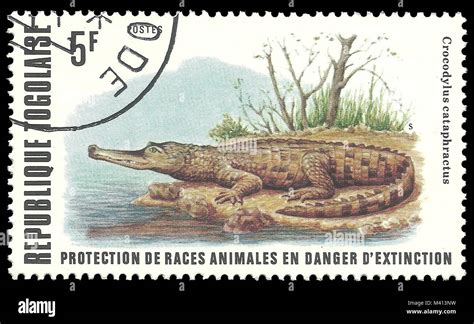 Togo - stamp printed in1977, Fauna, Series Endangered animals, African Slender snouted Crocodile ...