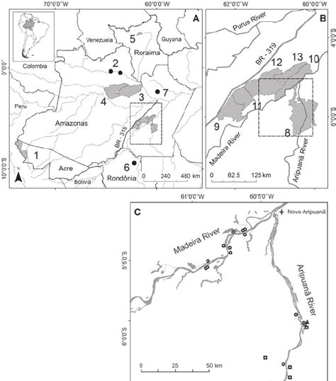 Study Area On The Madeira And Aripuan Rivers Brazilian Amazonia And