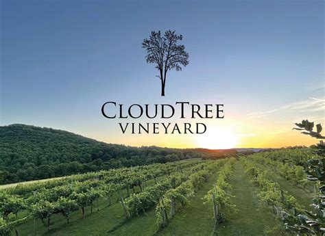 Winery Tasting Experience — CloudTree Vineyard