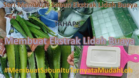 Tahap I Seri Membuat Sabun Membuat Ekstrak Gel Lidah Buaya Youtube