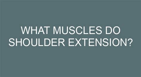 What Muscles Do Shoulder Extension?