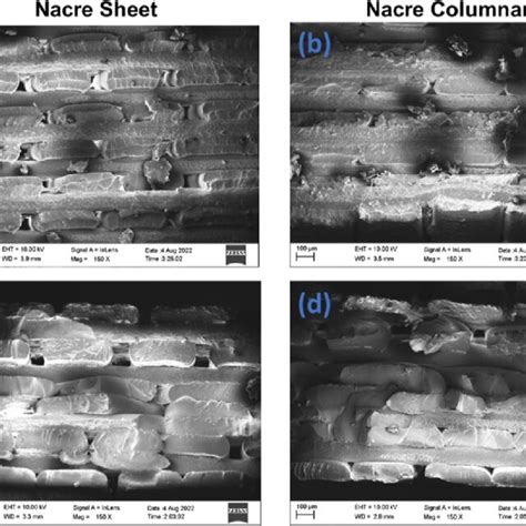 Fesem Images Of Ns And Nc For A B Izod And C D Cryogenic Fracture